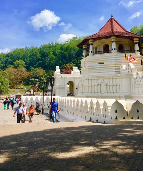 Private Day Tour to Kandy