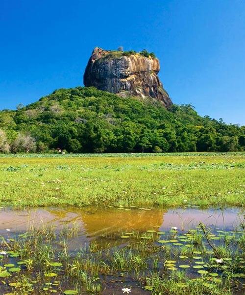 Private Day Tour to Sigiriya Fortress